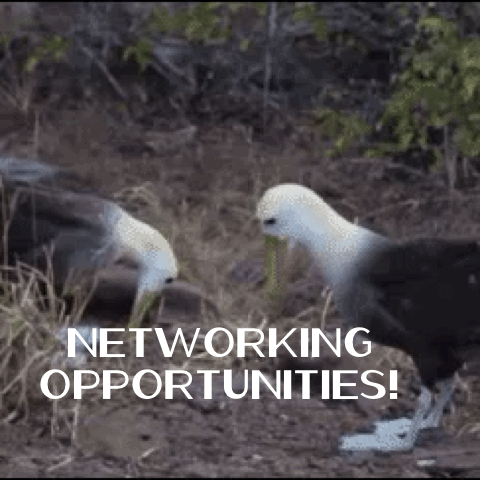 1 Networking Opportunities