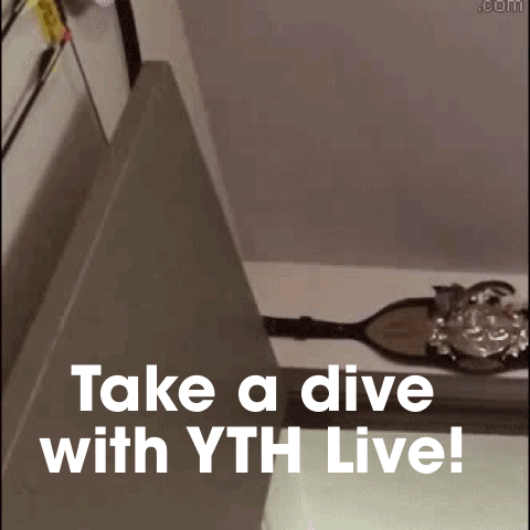 7 Take A Dive